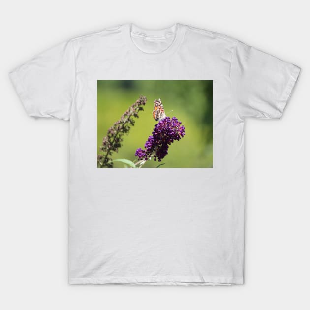 Butterfly With Flowers T-Shirt by Cynthia48